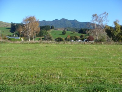 Book The Builder Now! Picture Book The Builder Now! Picture