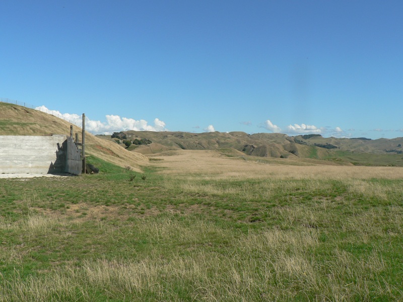 Genuine Sheep & Beef Farm Picture 2