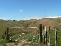 Genuine Sheep & Beef Farm Picture