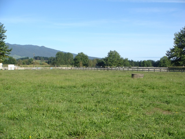 Buy The Best Section Picture 2