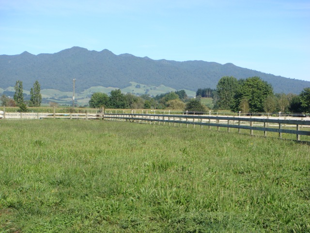 Buy The Best Section Picture 1