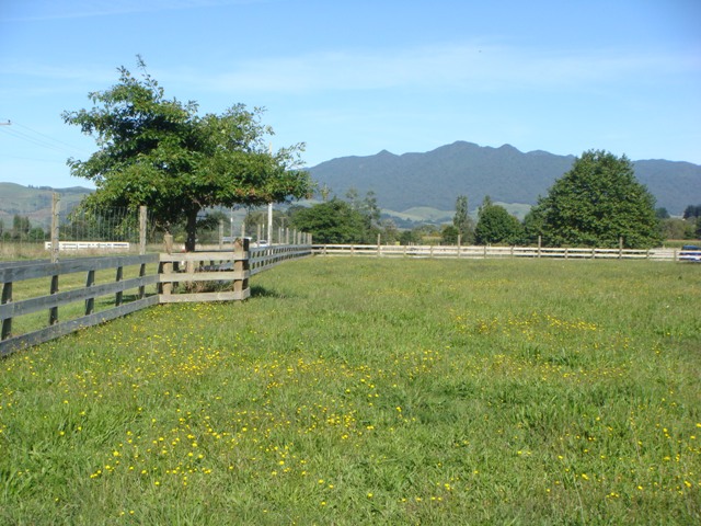 Buy The Best Section Picture 3