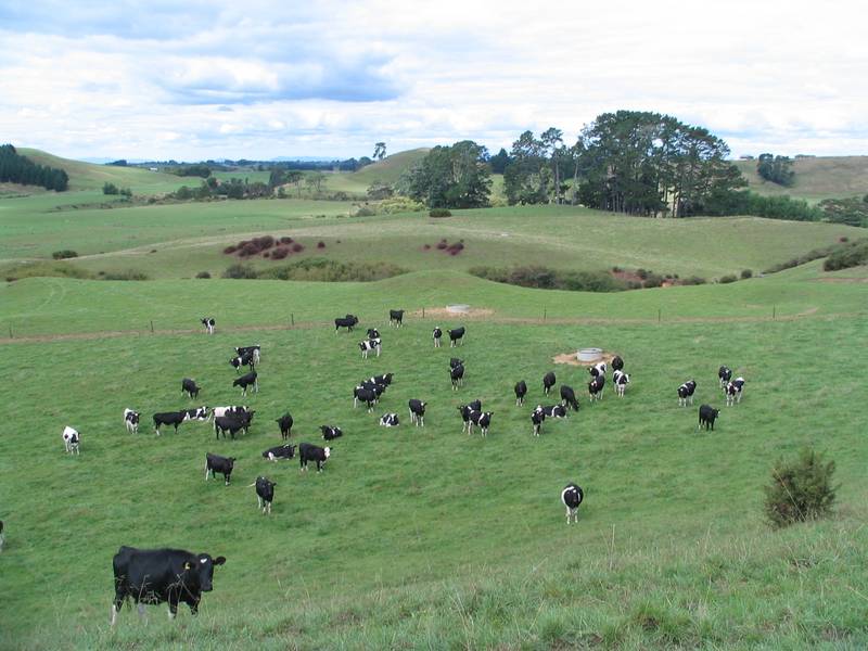 Cropping / Dairy Support Picture 1