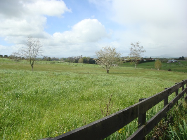 Seeing Is Believing Picture 2