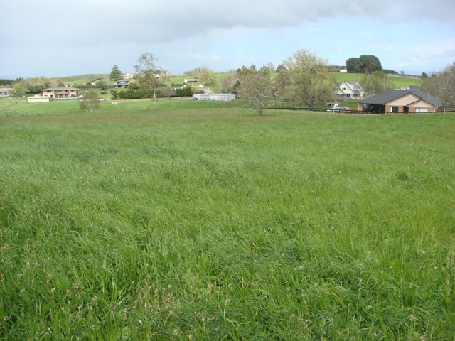 Seeing Is Believing Picture 3