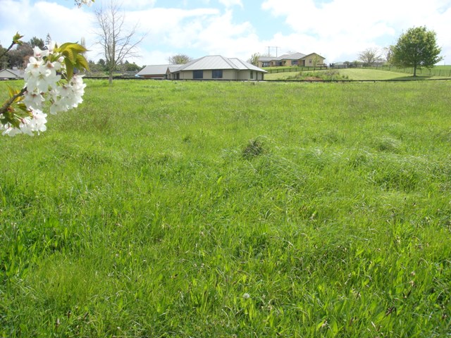 Seeing Is Believing Picture 1