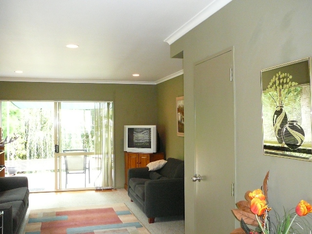 Young At Heart Picture 3