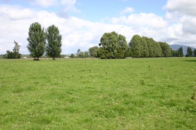 Rare Opportunity Picture 1