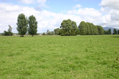 Rare Opportunity Picture