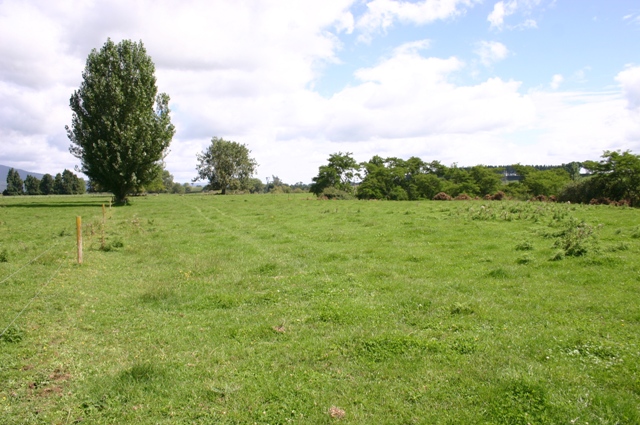 Rare Opportunity Picture 3