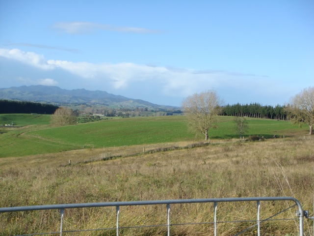 Pick 1 From The 2 Sections Picture 1