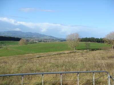 Pick 1 From The 2 Sections Picture