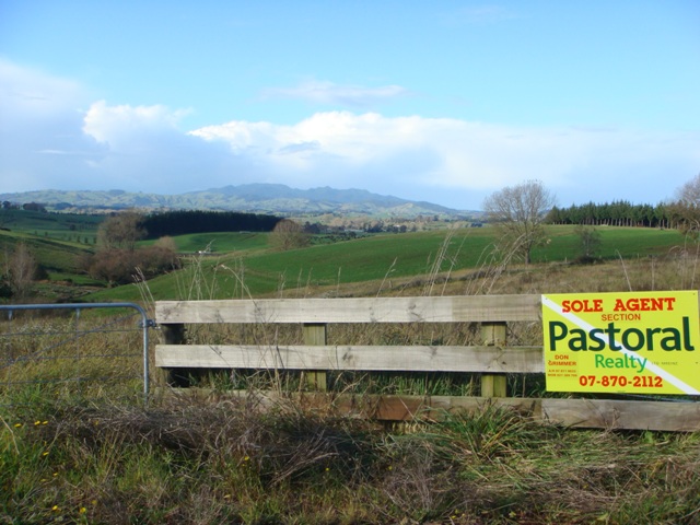 Pick 1 From The 2 Sections Picture 2