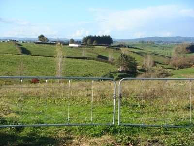 Pick 1 From The 2 Sections Picture