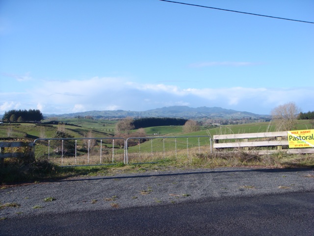 Pick 1 From The 2 Sections Picture 2