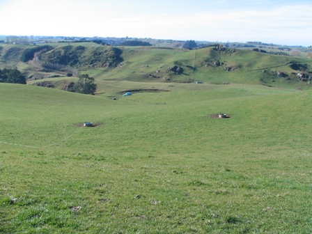 Heifer Grazing / Dairy Support Picture 3