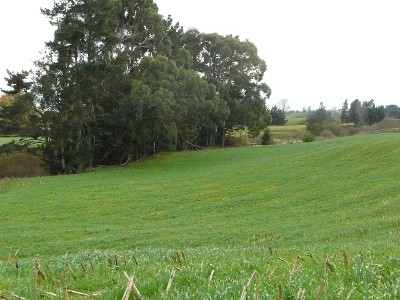 Large Lifestyle Section Picture