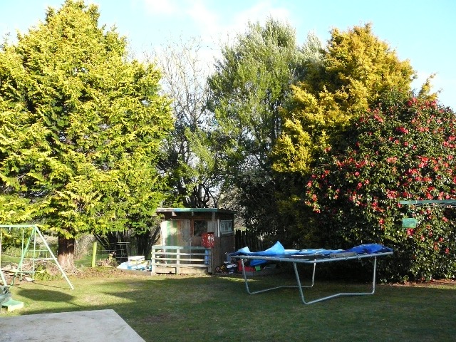 Great Value Here Picture 3