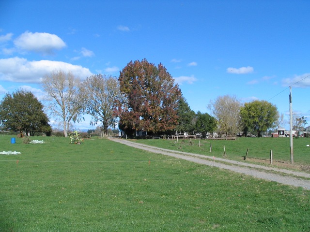 Cropping/Grazing/Lifestyle: You Choose! Picture 2