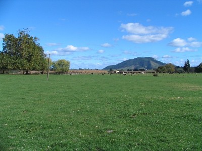 Cropping/Grazing/Lifestyle: You Choose! Picture