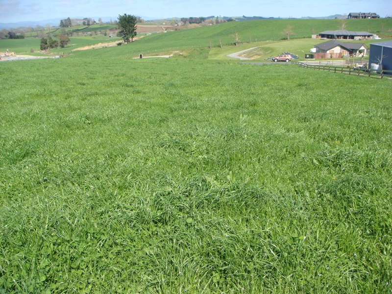 A Must To View! Picture 2