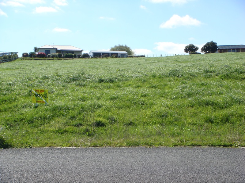 A Must To View! Picture 1