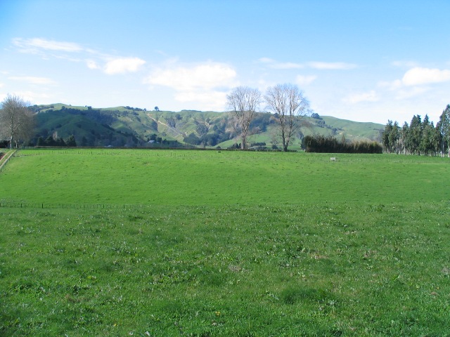 Dairy Support - Excellent Location Picture 1