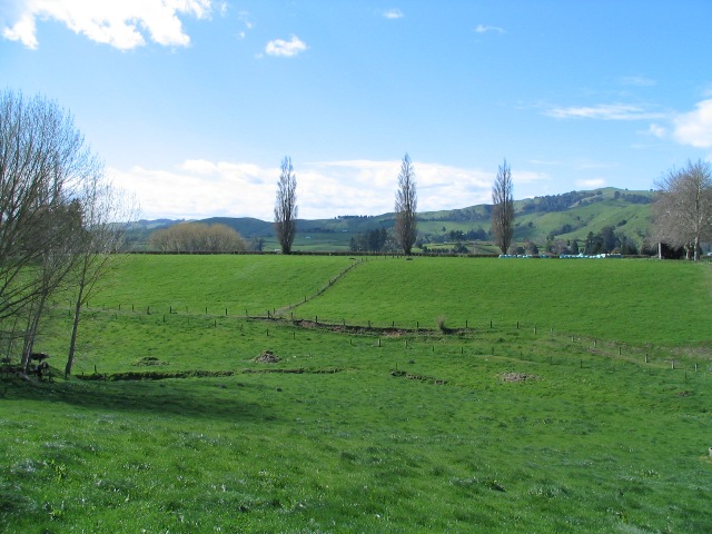 Dairy Support - Excellent Location Picture 2