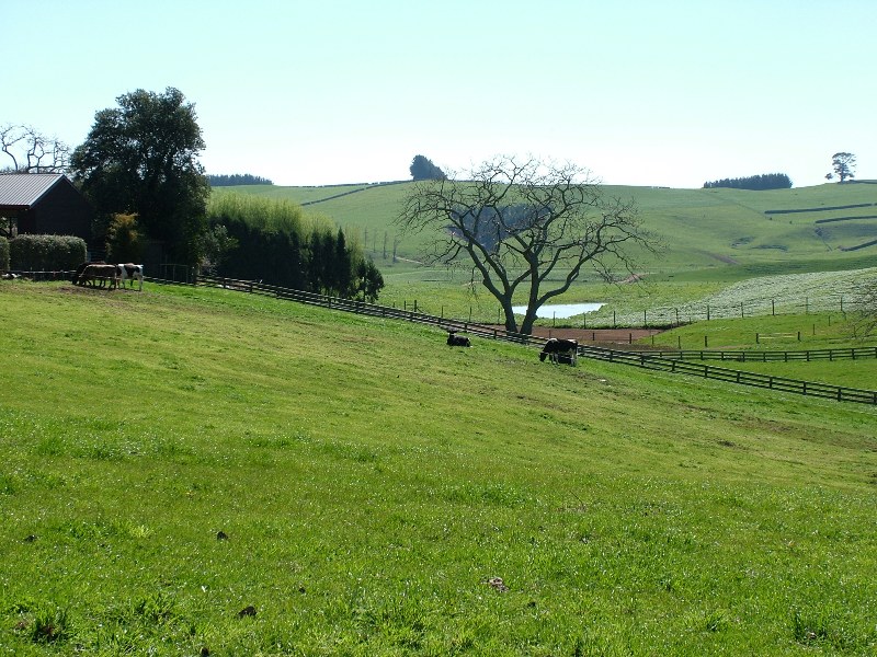 3 Fantastic Sections Ready To Build Picture 2