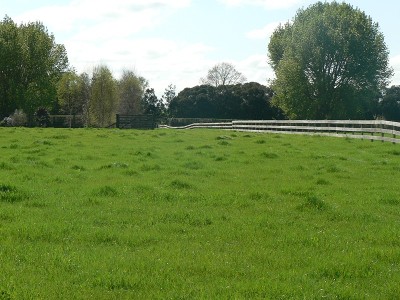 BARE 1.460 HA SECTION Picture