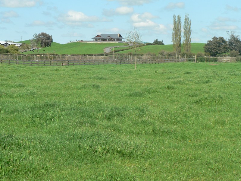 BARE 1.460 HA SECTION Picture 3