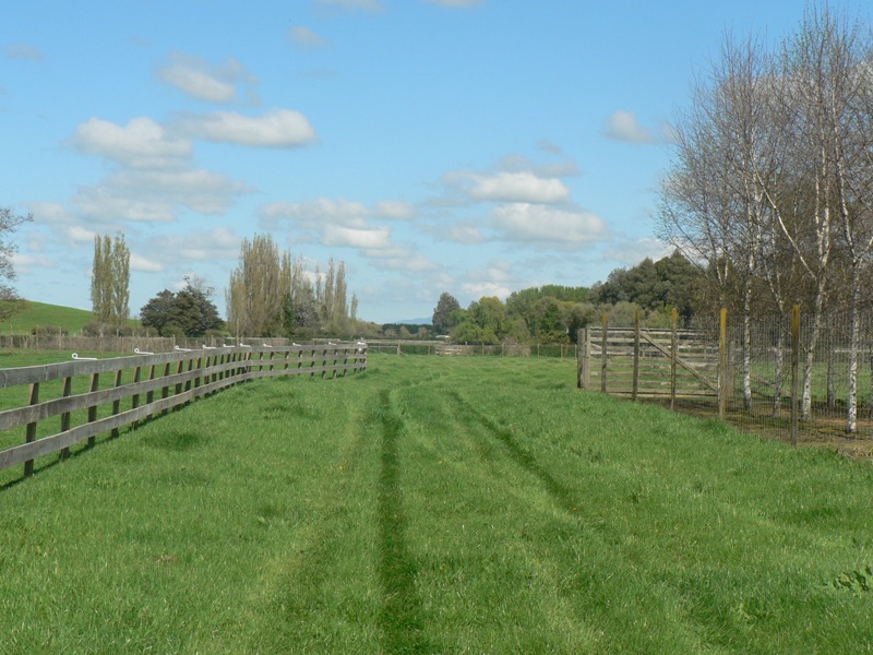 BARE 1.460 HA SECTION Picture 2