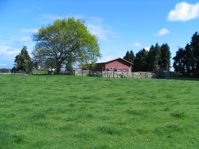 Brook Dale Picture 3