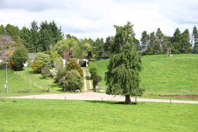 Dairy / replacement unit Picture