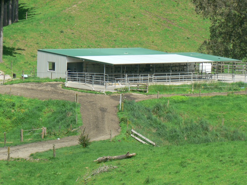 83 Ha Dairy Farm Picture 2