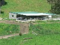 83 Ha Dairy Farm Picture
