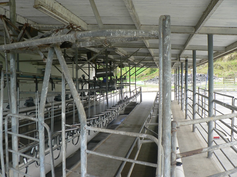 83 Ha Dairy Farm Picture 3