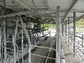 83 Ha Dairy Farm Picture