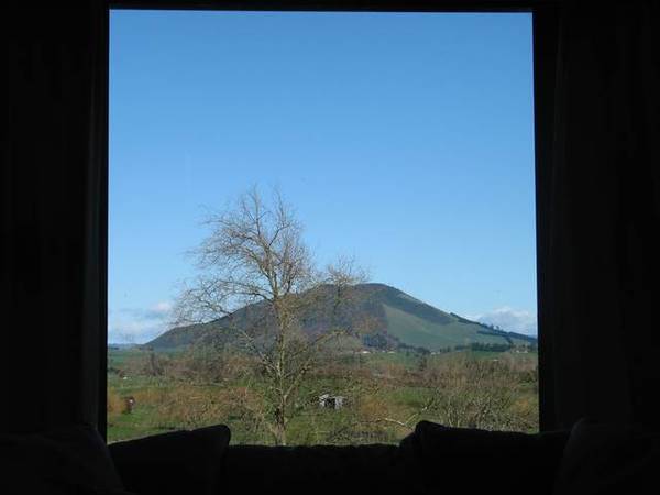 Imagine Your Options Picture 3