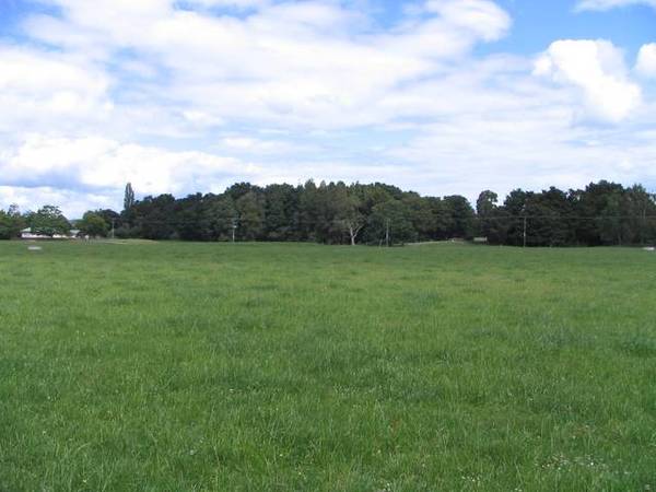 Totara Grove Picture 2