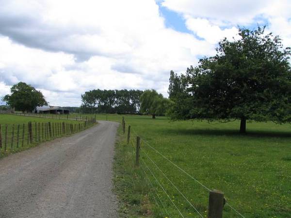 Totara Grove Picture 3