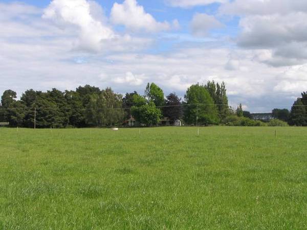 Totara Grove Picture 1