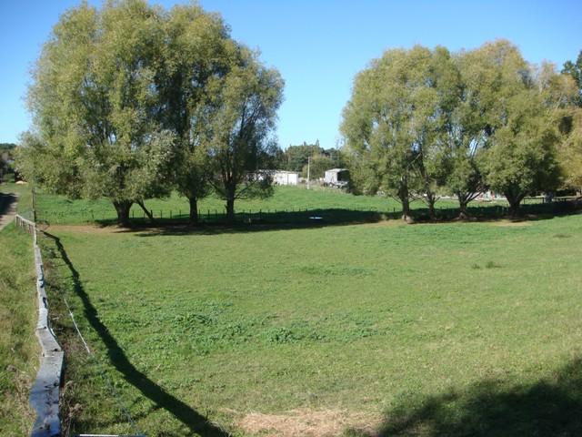 Opposite Racecourse Picture 1