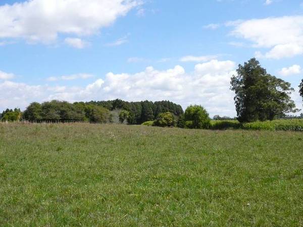 A Lifestyle You Can Afford!!! Picture 2