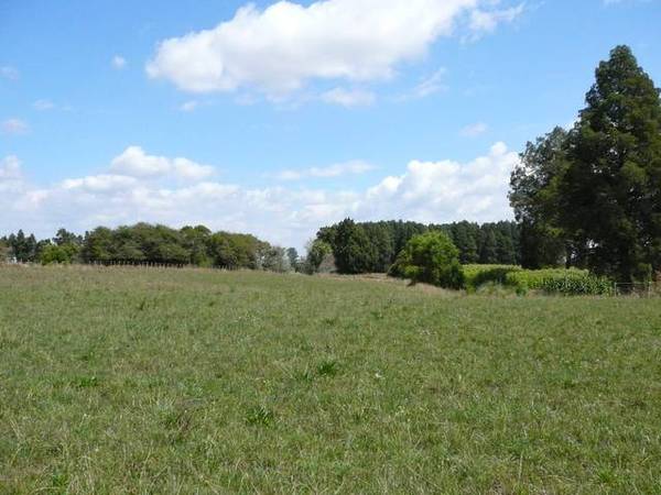 A Lifestyle You Can Afford!!! Picture 1