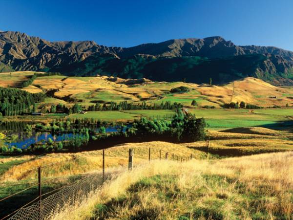 Threepwood Picture 3