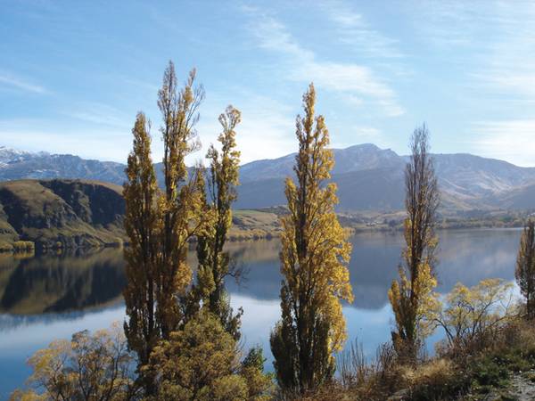 Threepwood Picture 1