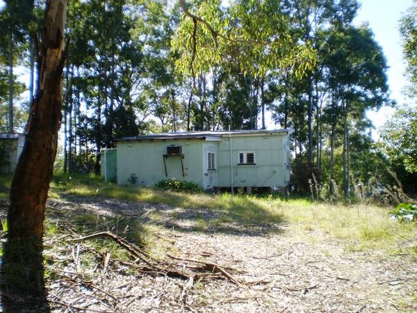 SEA and TREE CHANGE TOGETHER Picture 2