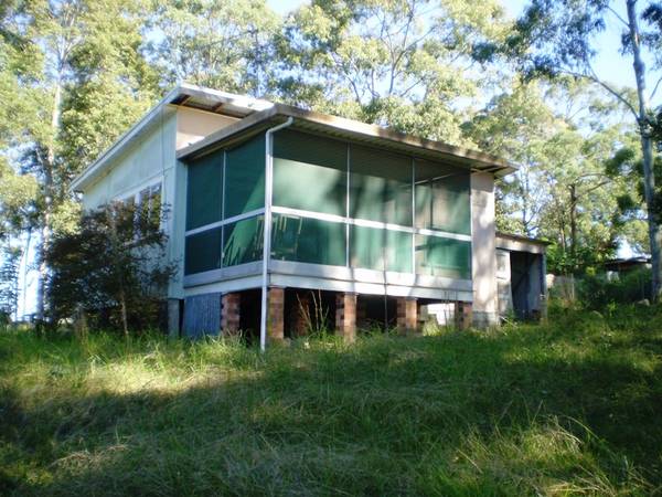 SEA and TREE CHANGE TOGETHER Picture 1