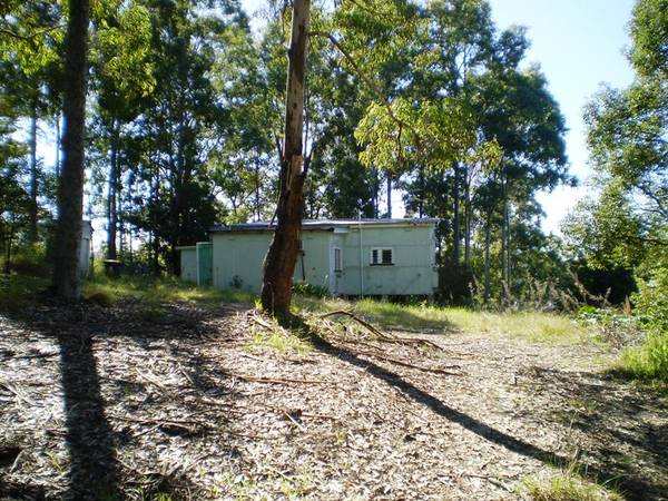 SEA and TREE CHANGE TOGETHER Picture 3